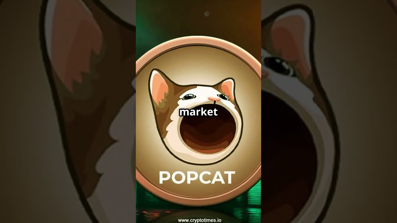 “🚀 POPCAT Meme Coin Explained in 60 Seconds – Could It 100×?”