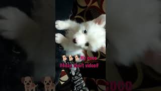 Viral Coco 4 Day
