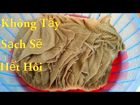 Video Rửa sách bò- Mẹo rửa lá sách bò đơn giản, sạch sẽ, khử mùi hôi./Bếp của em #103 - youtube