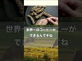 ミルク飲むの下手すぎるジャコウネコ　【ぴえん過ぎる生き物紹介】　#shorts