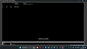 Cara Install Dan Konfigurasi DNS Server Di Debian 12 - TECNOROIS