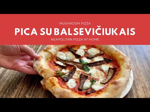 Video: Pica Su Grybais