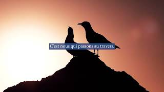 Vignette de la vidéo youtube