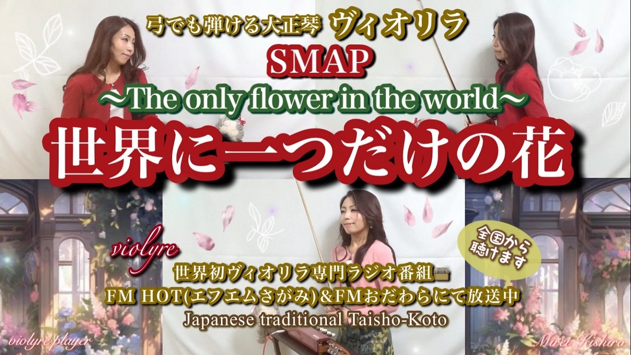 FM第1位🏆世界に一つだけの花｜SMAP｜ヴィオリラ三重奏🎹🎻弓でも弾ける大正琴｜Japanese Taisho-Koto Violyre Cover｜妃城みれい Grace♡Harmony