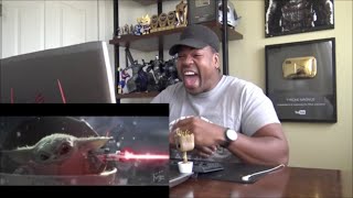 Baby Yoda Executes Order 66 - Reaction!