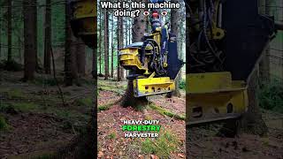 This machine is absolutely terrifying... 🤯🌲 #shorts #engineering