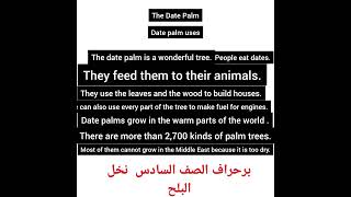 برجراف عن date palm للصف السادس | كونكت 6 | unit 1 lesson 2 |   برجراف عن نخل البلح