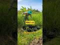 #netzero #farmnuong #nhadam