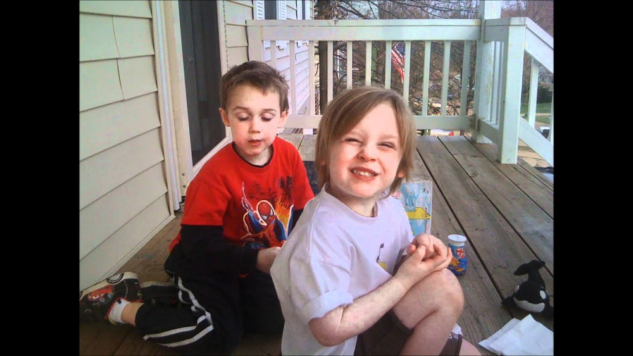 Schaeffer family demo