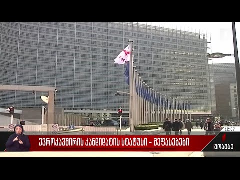 ევროკავშირის კანდიდატის სტატუსი - შეფასებები პოლიტიკურ სპექტრში