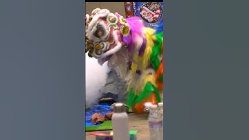 Thumbnail of Phoenix Wushu Nationals 2022 Lion Dance Championships + USDLDF múa lân barongsai 舞狮 舞獅 tarian singa