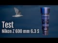 Review – Nikon Z 600 mm f/6.3 PF VR S – Test – Objektivtest [Deutsch]