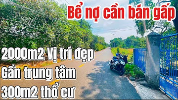 Quá Ngộp! Gòng lãi hết nổi anh Nghĩa cần bán gấp mảnh vườn đường lớn vị trí ngay trung tâm ở BRVT