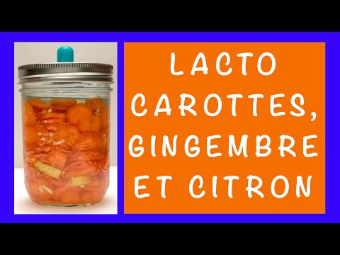 carottes-au-gingembre-et-au-citron-/-recette-de-légumes-lacto-fermentés