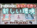 新しい環境へ！長め・じっくり個人鑑定風～リクエスト企画☆直近未来 占い 仕事 人生 金運 一部恋愛 オラクル タロット 選択式