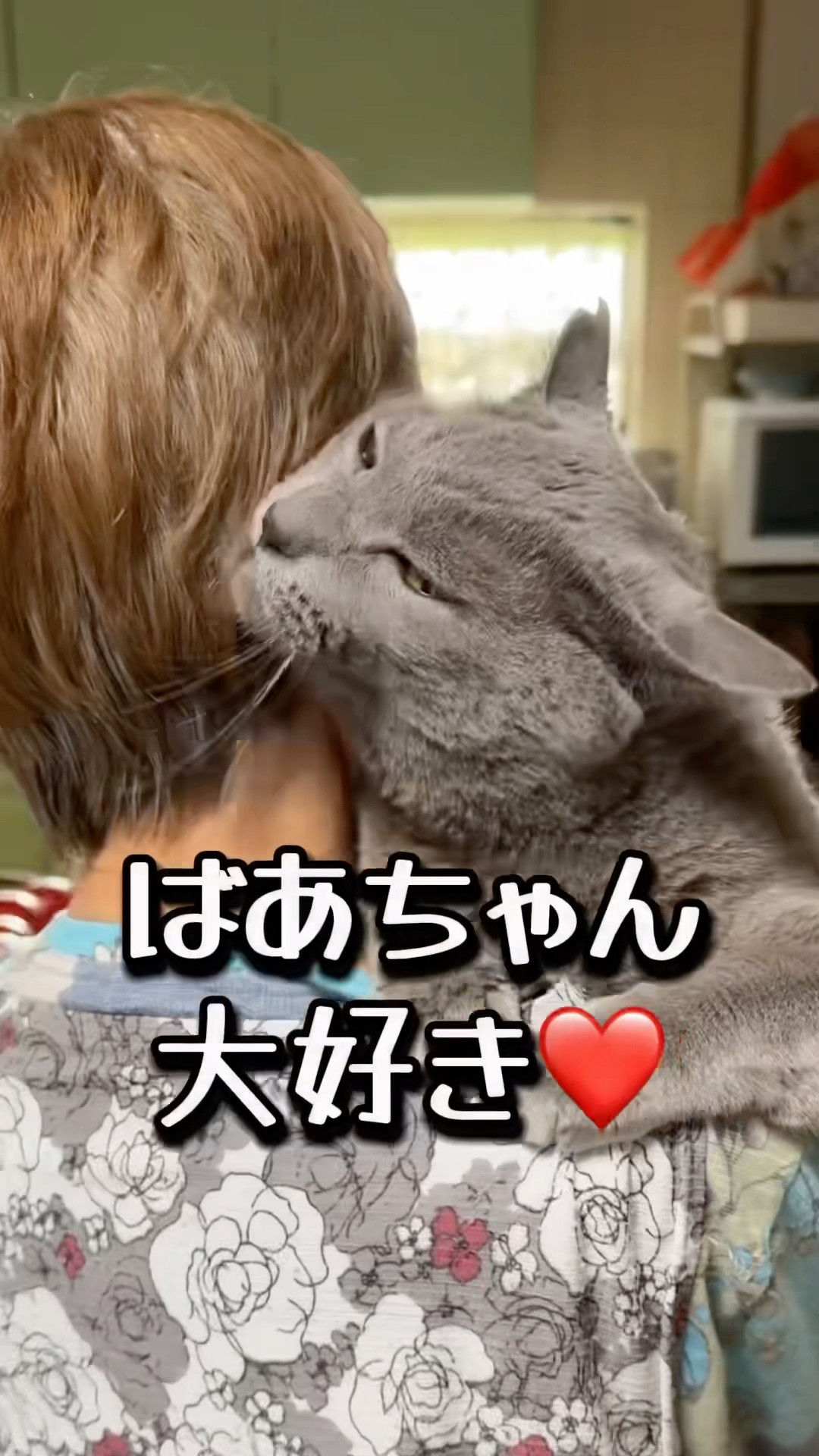 ラテちゃんです。 82歳ばあちゃんとラテちゃん - YouTube