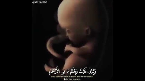 "إن وعد الله حق فلا تغرنكم الحياة الدنيا.. " بصوت القارئ إسلام صبحي/حالات واتس اب