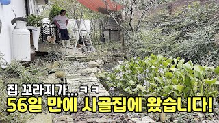 видео: ・Я приехал в загородный дом через 56 дней картинка: ・Я приехал в загородный дом через 56 дней