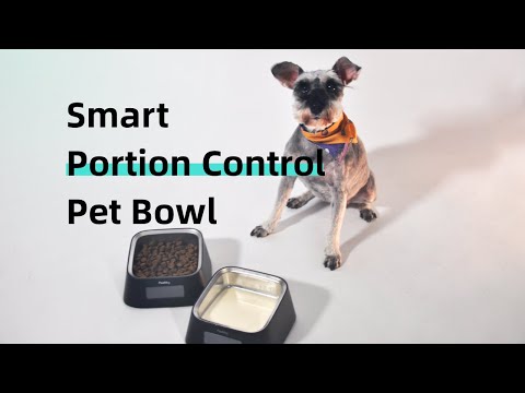 Відео: Розумна годівниця для тварин Pawbby Smart Pet Bowl (MG-ZN001-EU)