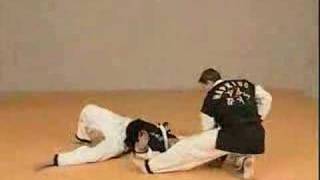Hapkido