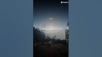 تلاوة للشيخ سعد الغامدي ماتيسر من سورة  فاطر
