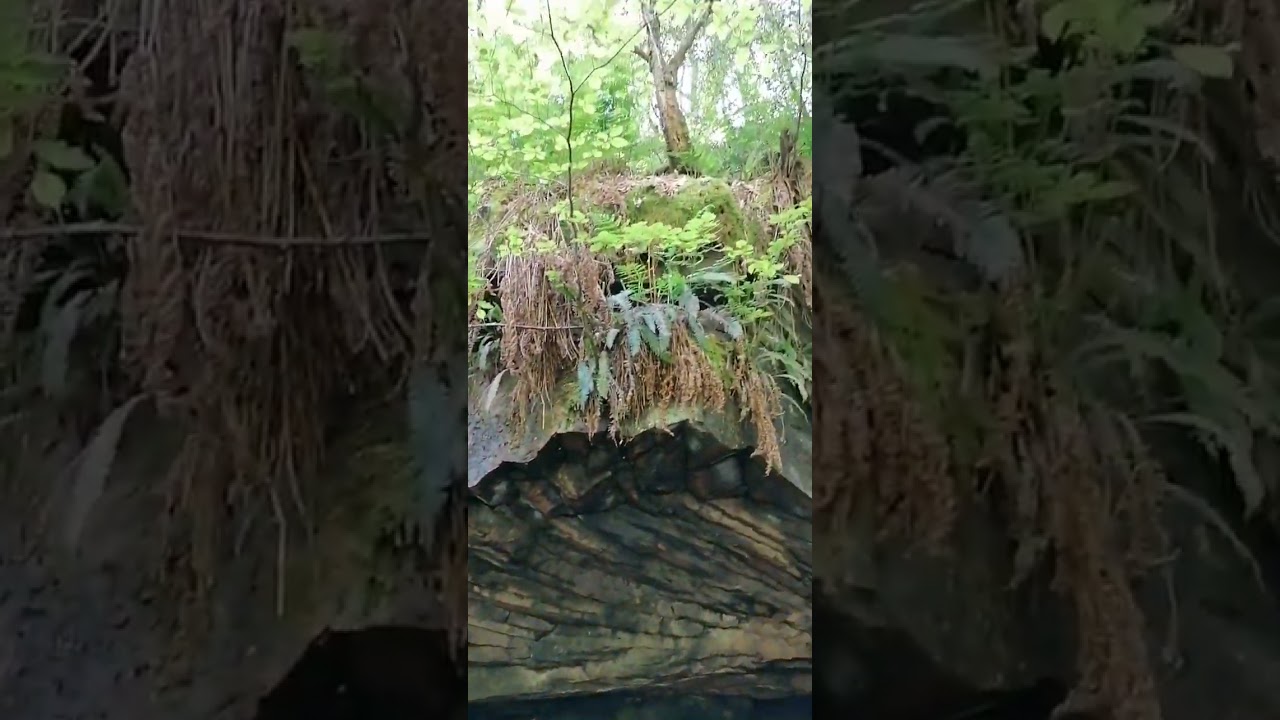 Goit Stock Waterfall. Hidden gem Cullingworth Bingley Bradford      👍❤️👌