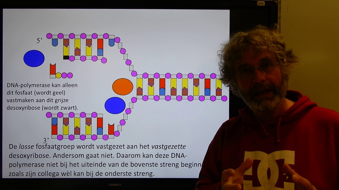 Biologie VWO BB DNA replicatie