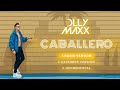 Olly Maxx - Caballero (Radio Version) (Official Audio)