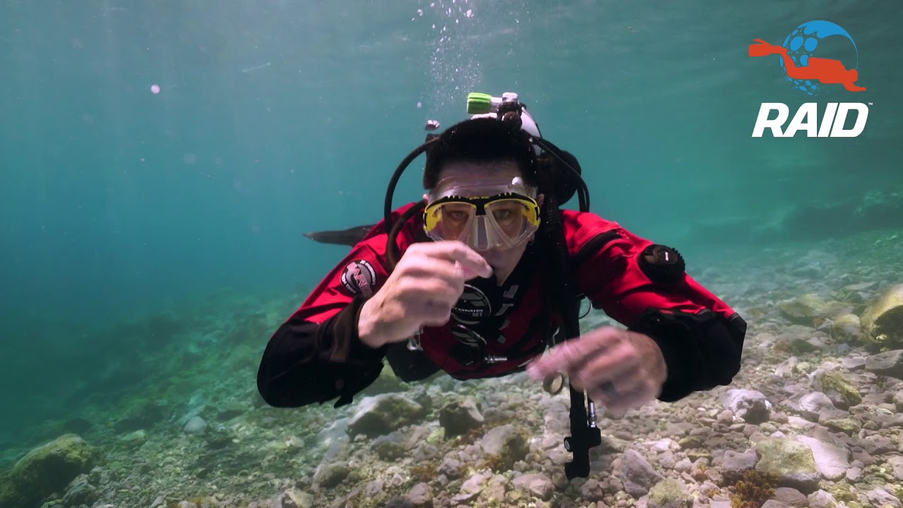 PARTIAL MASK FLOOD YouTube