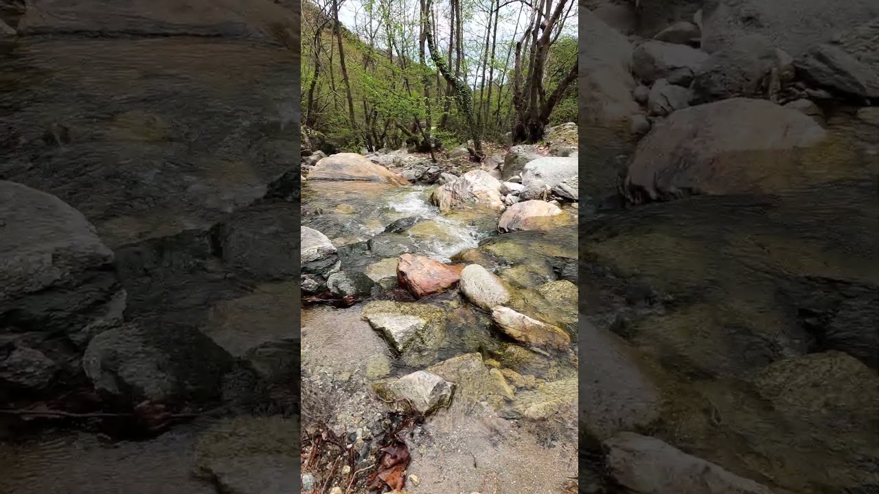 Stay Energized with Nature 🌿 | Colorfull Rock Stream for Clarity & Focus [Short] 💧
