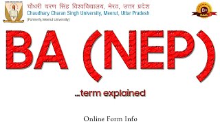 Ba Nep Term Explained Online Form Info