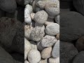 8 926 300-57-55. Галька речная белая, Галька, Камень, Камень для ландшафта, Природный камень