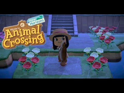 Fish Caught! | Animal Crossing | Arowana - YouTube