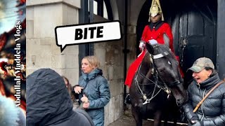 SCREAMED in PAIN, BITTEN by the king’s horse at horse GUARDS