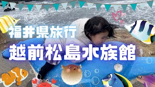 【お出かけ・水族館】家族で福井県旅行。立ち寄ったのは越前松島水族館。たくさんお魚見れたかな？