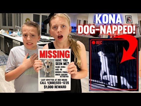 Someone Took Our Dog! || Mommy Monday