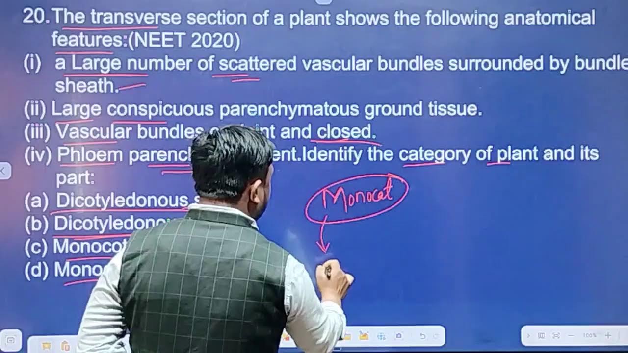 NEET I BOTANY I ANATOMY OF FLOWERING PLANTS I PYQS I LEC 3