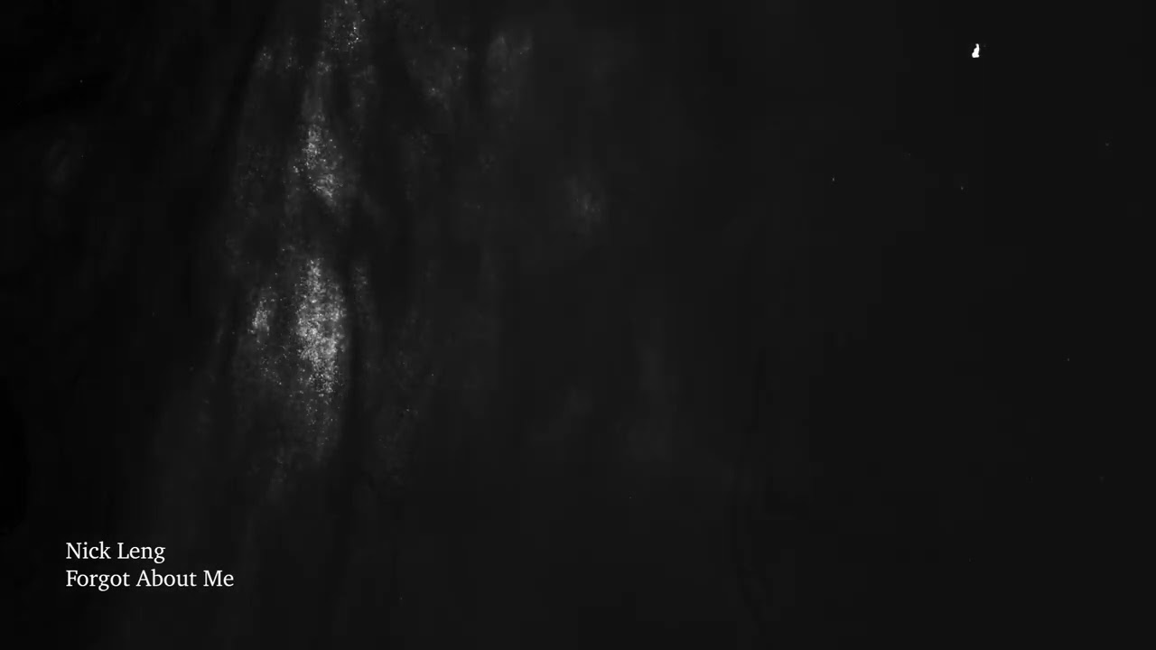 Watch Nick Leng - Forget About Me (Official Visualizer) on YouTube Watch Nick Leng - Forget About Me (Official Visualizer) on YouTube
