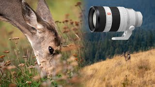 The Sony Fe 50-150Mm F2 Gm Lens Is Insanely Good