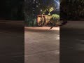 Life is better on wheels 🔥 #skating #inlineskating #inspiration #believeinyourself