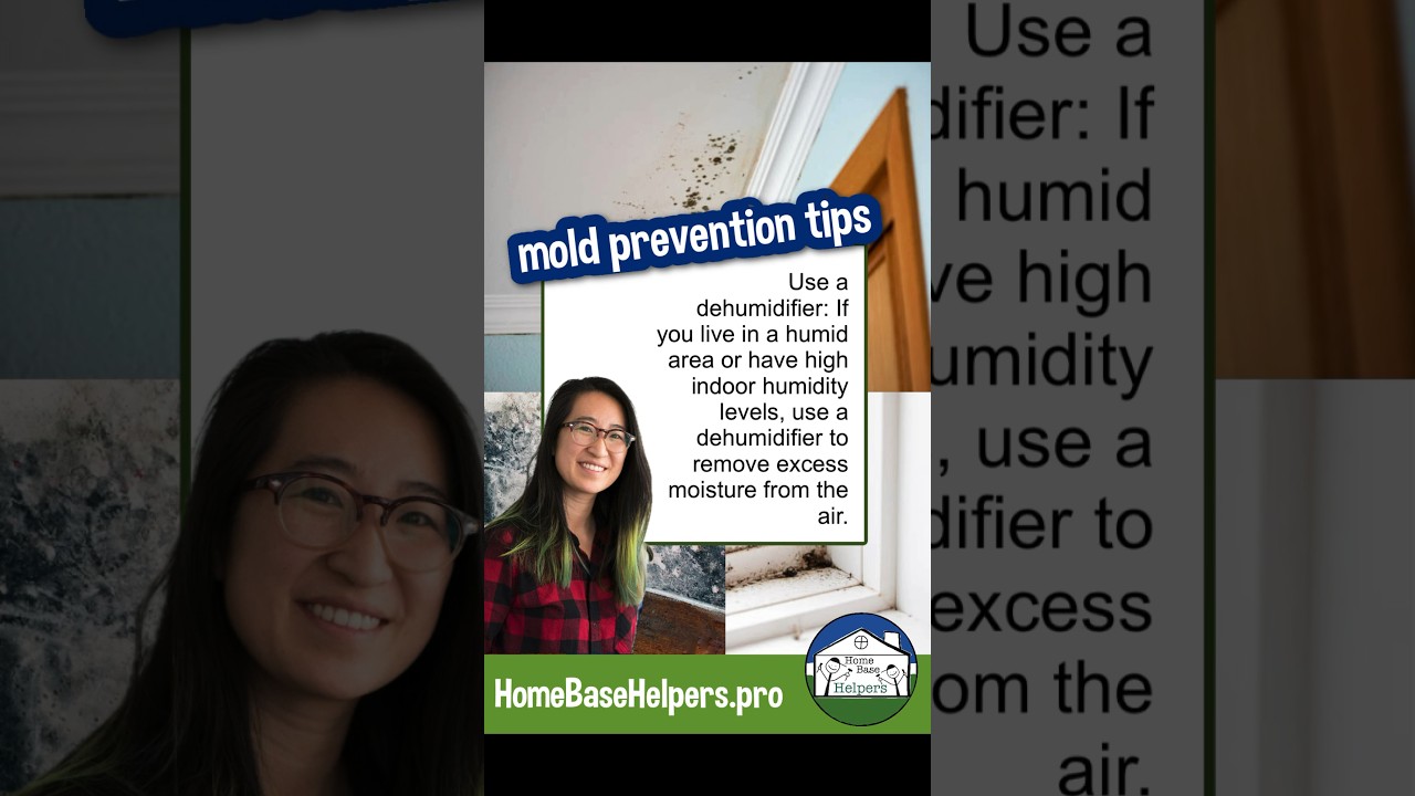 Dehumidifier &BlackMold Tip, Remodeling 