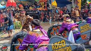 Pantun Janda | Rogo Samboyo Putro| Shafira Audio