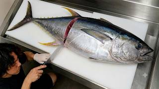 Insane Fish Cutting Skills With Tuna, Salmon And More
