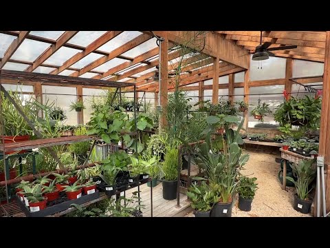 Farm And Garden Craigslist San Antonio 74