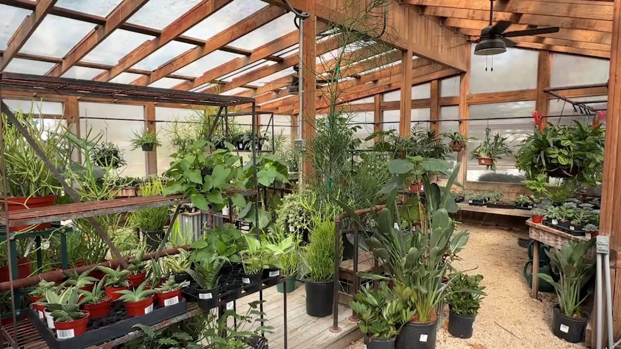 Beloved San Antonio plant nursery closing, owners transforming property  into free community garden