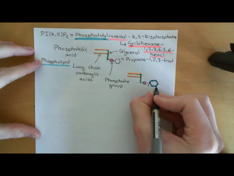 Methods for Investigating Exocytosis Part 2