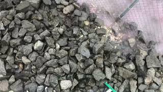 IMG 6042