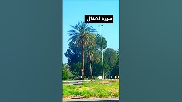 سورة الانفال|القران الكريم|قارة صداقت على|#قرآن #الانفال