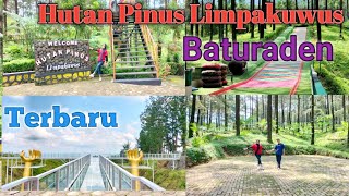 Hutan Pinus Limpakuwus Baturaden !! Ada Area Camping Ground