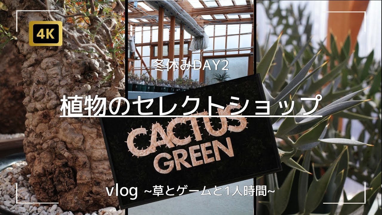 vlog |植物のセレクトショップCACTUSGREENと餃子とパフェ 〜冬休みDAY2〜